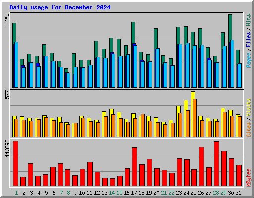 Daily usage for December 2024