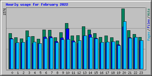 Hourly usage for February 2022