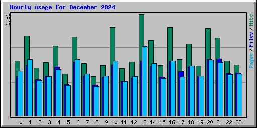 Hourly usage for December 2024