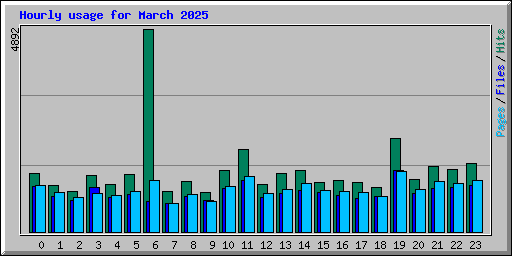 Hourly usage for March 2025