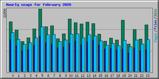 Hourly usage for February 2026
